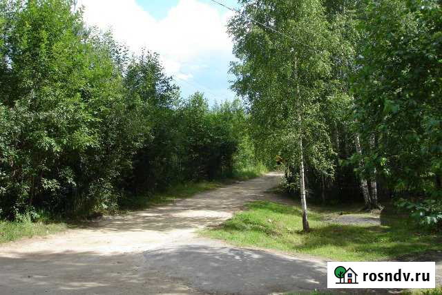 Участок СНТ, ДНП 12 сот. на продажу на Лугах Луга - изображение 1