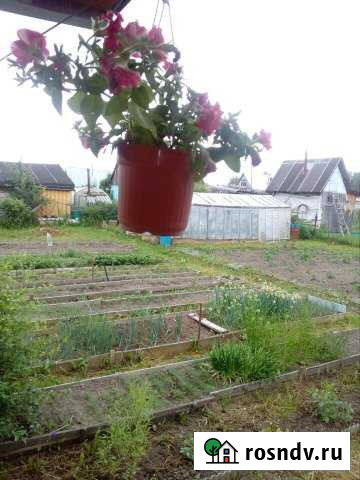 Дача 20 м² на участке 6 сот. на продажу в Северске Северск - изображение 1