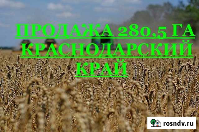 Участок СНТ, ДНП 28050 сот. на продажу в Калужской Калужская - изображение 1