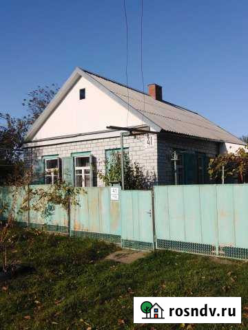 Дом 50 м² на участке 16 сот. на продажу в Великовечном Великовечное - изображение 1