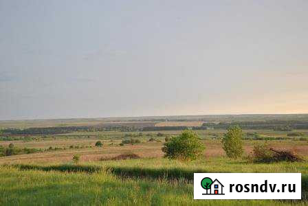 Участок СНТ, ДНП 700 сот. в аренду в Шатках Шатки - изображение 1