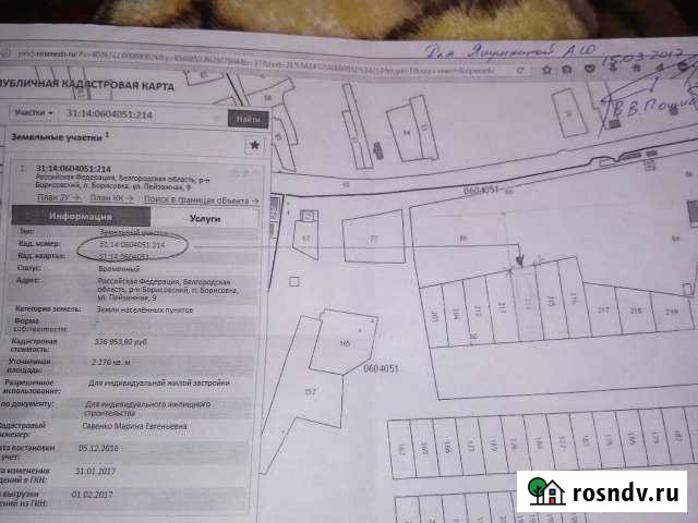 Участок ИЖС 20 сот. на продажу в Борисовке Борисовка - изображение 1