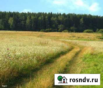 Участок промназначения 144 сот. в аренду в Перми Пермь - изображение 1