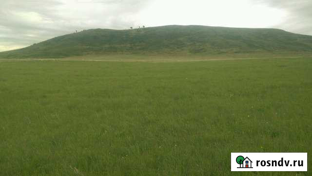 Участок СНТ, ДНП 2400 сот. на продажу в Алейске Алейск - изображение 1