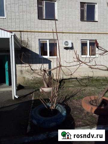 2-комнатная квартира, 47 м², 1/2 эт. на продажу в Тахтамукае Тахтамукай - изображение 1