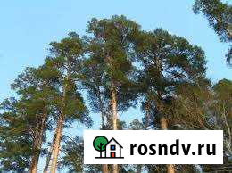 Участок ИЖС 29 сот. на продажу в Юрьевце Юрьевец - изображение 1