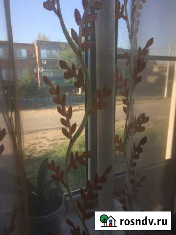 2-комнатная квартира, 46 м², 2/2 эт. на продажу в Приморке Приморка - изображение 1