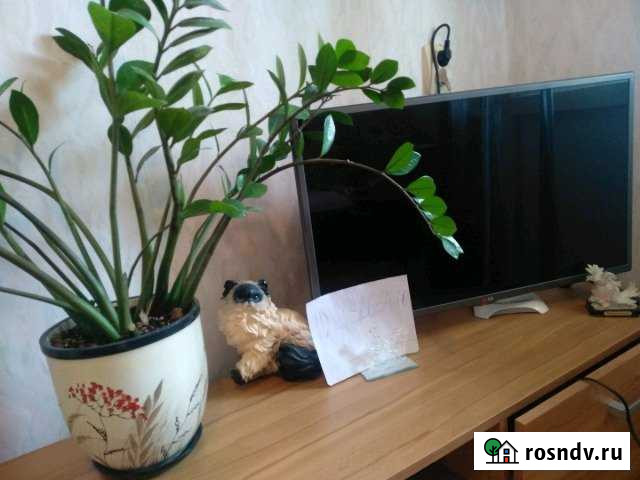 1-комнатная квартира, 32 м², 2/3 эт. в аренду посуточно в Химках Химки - изображение 1