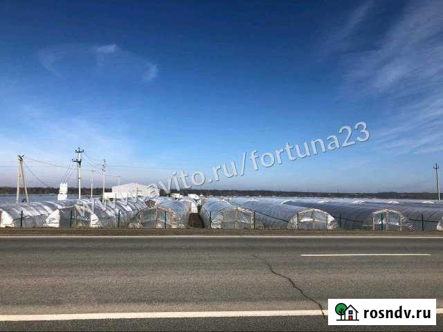 Участок СНТ, ДНП 200 сот. на продажу в Белореченске Белореченск - изображение 1