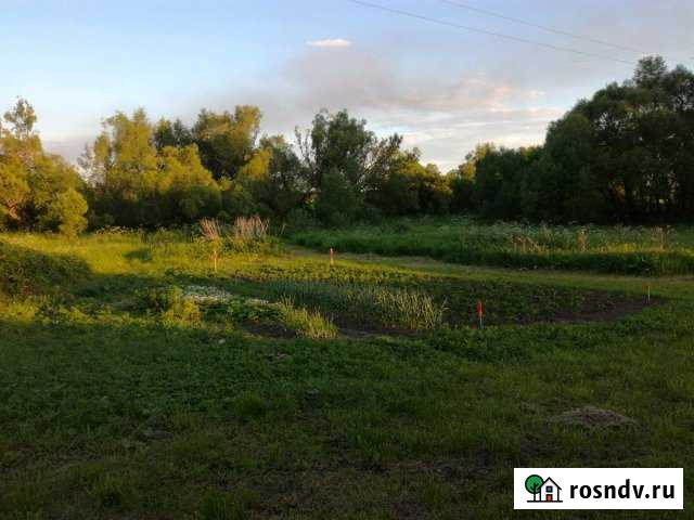 Участок ИЖС 25 сот. на продажу в Новогуровском Новогуровский - изображение 1