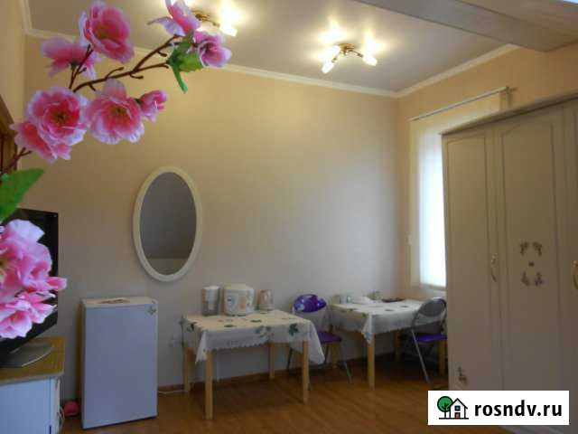 1-комнатная квартира, 25 м², 3/3 эт. в аренду посуточно в Королеве Королев - изображение 1