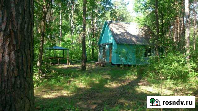 Дом 20 м² на участке 1 сот. в аренду посуточно в Шигонах Шигоны - изображение 1