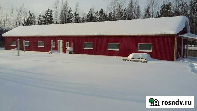 Продам ферму для с/х животных Урай - изображение 1