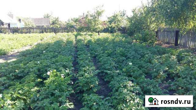 Участок ИЖС 16 сот. на продажу в Унече Унеча - изображение 1