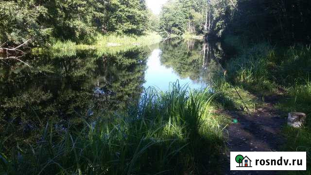 Участок ИЖС 24 сот. на продажу в Бегуницах Бегуницы - изображение 1