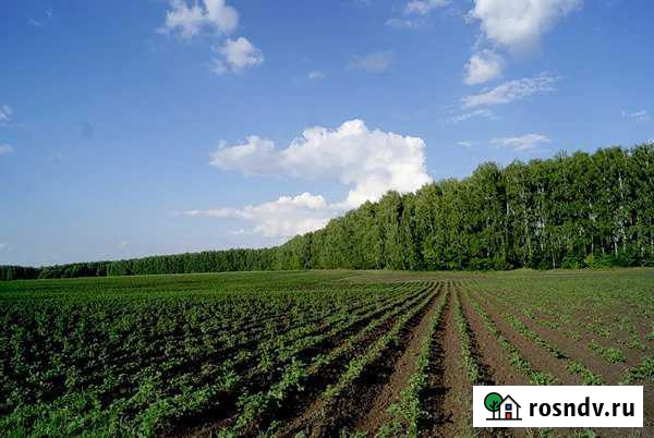 Участок СНТ, ДНП 20000 сот. в аренду в Балаково Балаково - изображение 1