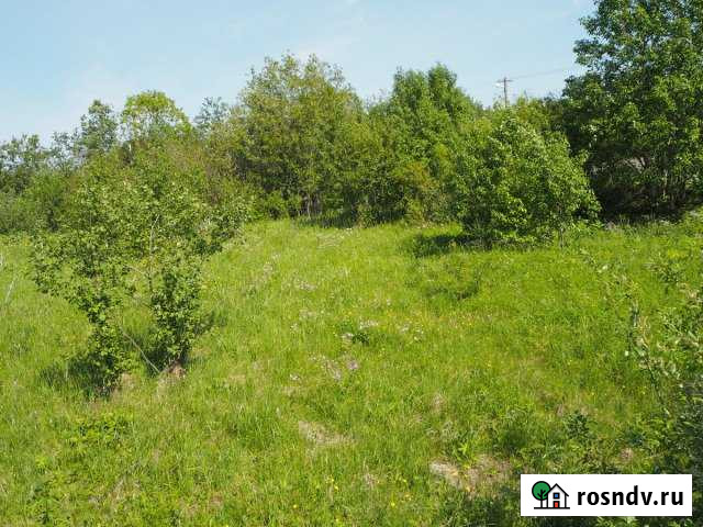 Участок СНТ, ДНП 15 сот. на продажу в Волхове Волхов - изображение 1