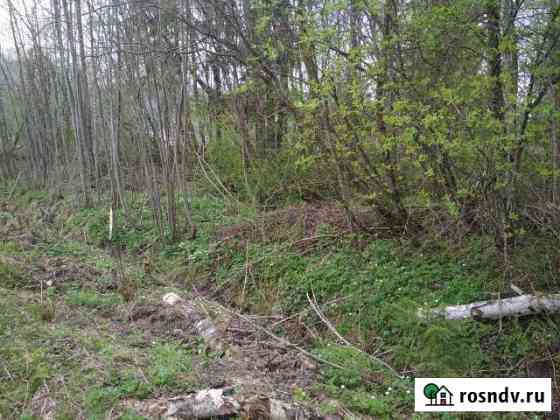 Участок СНТ, ДНП 10 сот. на продажу в Рябово Рябово