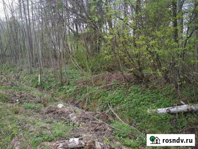 Участок СНТ, ДНП 10 сот. на продажу в Рябово Рябово - изображение 1