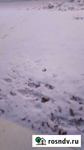 Участок СНТ, ДНП 10 сот. на продажу в Саранске Саранск - изображение 1