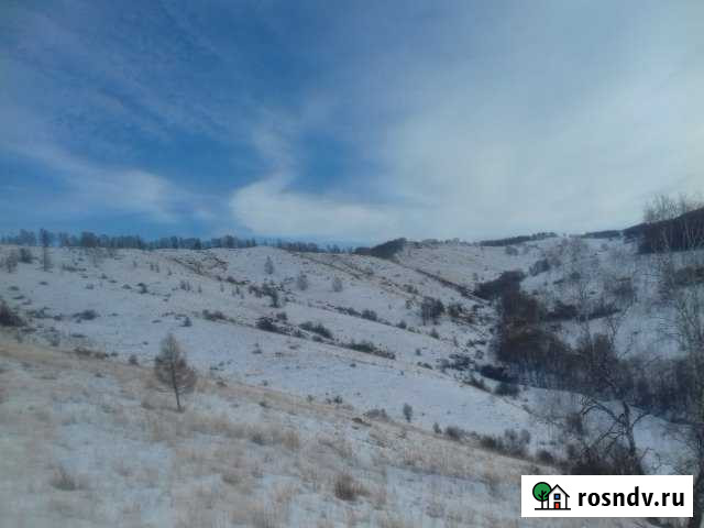 Участок СНТ, ДНП 18400 сот. на продажу в Солонешном Солонешное - изображение 1