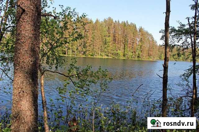 Участок ИЖС 6 сот. на продажу в Лахденпохье Лахденпохья - изображение 1