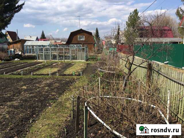 Участок СНТ, ДНП 4 сот. на продажу в Убинском Убинское - изображение 1