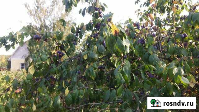 Дача 20 м² на участке 9.2 сот. на продажу в Луховицах Луховицы - изображение 1