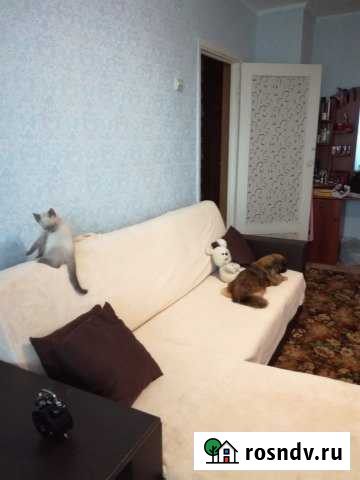 1-комнатная квартира, 29 м², 5/5 эт. на продажу в Мысках Мыски - изображение 1