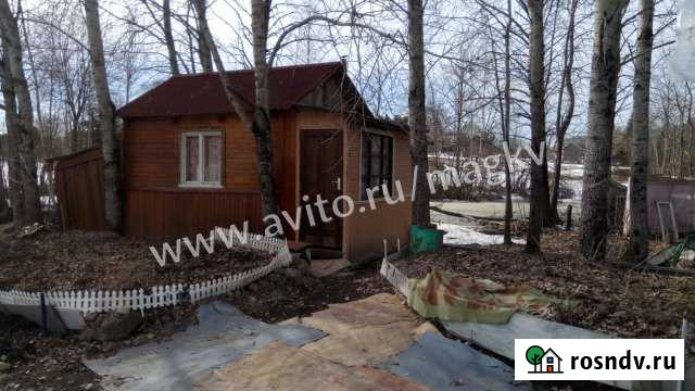 Участок ИЖС 37 сот. на продажу в Первомайском Ленинградской области Первомайское - изображение 1