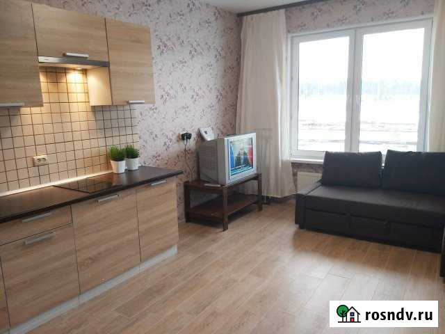 Квартира-студия, 24 м², 1/4 эт. в аренду на длительный срок в Сертолово Сертолово - изображение 1