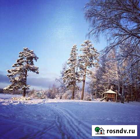 Участок СНТ, ДНП 100 сот. на продажу в Сертолово Сертолово - изображение 1