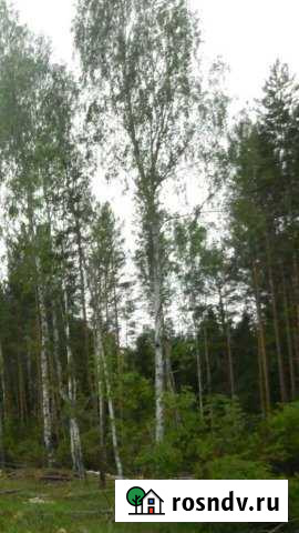 Участок ИЖС 13 сот. на продажу в Верху-Нейвинском Верх-Нейвинский - изображение 1