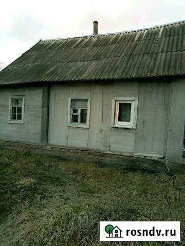 Дом 32 м² на участке 24 сот. на продажу в Пушкинских Горах Пушкинские Горы - изображение 1