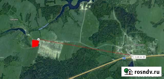 Участок СНТ, ДНП 290 сот. на продажу в Ярцево Ярцево - изображение 1