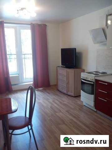 Квартира-студия, 23 м², 2/4 эт. в аренду на длительный срок в Сертолово Сертолово - изображение 1