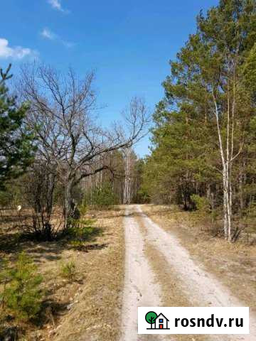 Участок СНТ, ДНП 1360 сот. на продажу в Спас-Клепиках Спас-Клепики - изображение 1