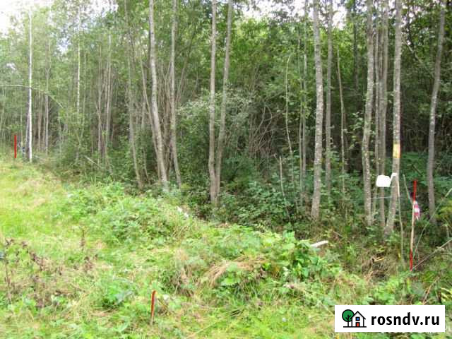 Участок СНТ, ДНП 10 сот. на продажу в Мге Мга - изображение 1