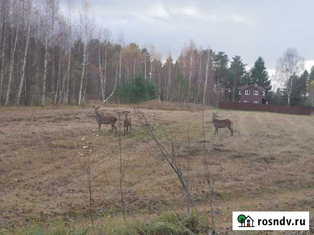 Дом 110 м² на участке 39 сот. на продажу в Зубцове Зубцов - изображение 1