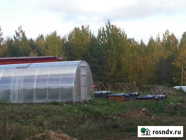 Участок СНТ, ДНП 16 сот. на продажу на Лугах Луга - изображение 1