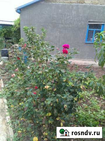 Дача 25 м² на участке 4 сот. на продажу в Саках Саки - изображение 1