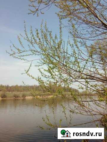 Участок ИЖС 10 сот. на продажу в Ряжске Ряжск - изображение 1