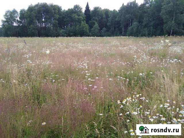 Участок ИЖС 15 сот. на продажу в Березовском Кемеровской области Березовский - изображение 1