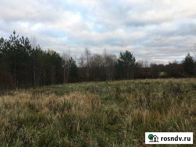 Участок ИЖС 16 сот. на продажу в Сосново Сосново - изображение 1