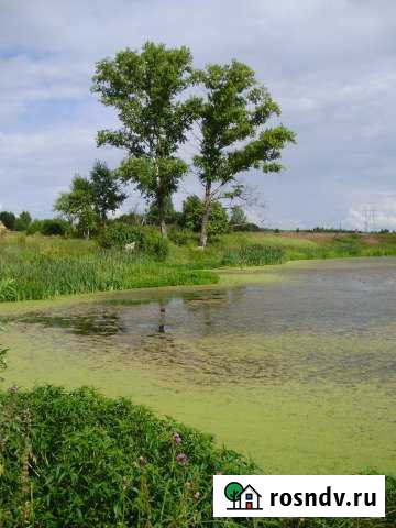 Участок ИЖС 50 сот. на продажу в Юрьев-Польском Юрьев-Польский - изображение 1