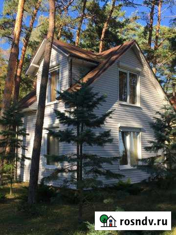 Дом 36 м² на участке 80 сот. в аренду посуточно в Зеленоградске Зеленоградск - изображение 1