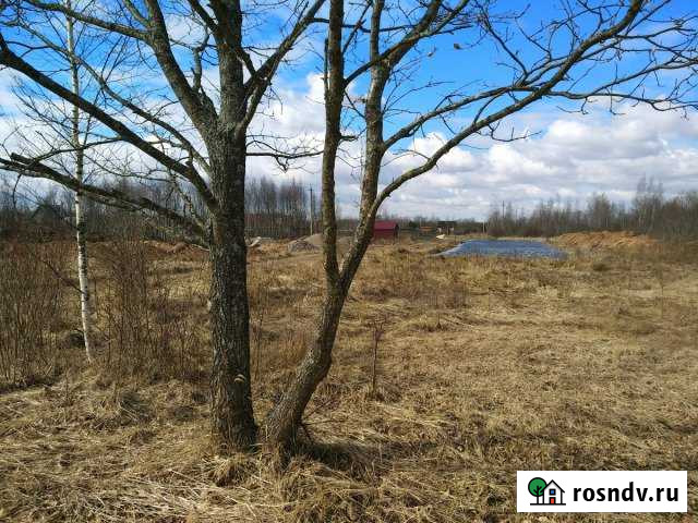 Участок СНТ, ДНП 24 сот. на продажу в Великих Луках Великие Луки - изображение 1