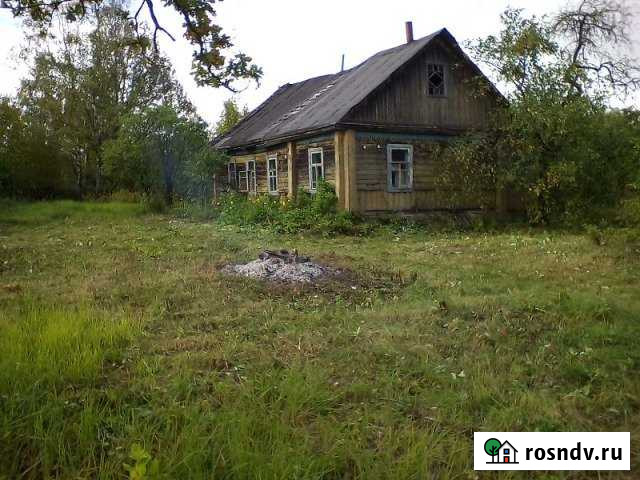 Участок ИЖС 12 сот. на продажу в Новодугино Новодугино - изображение 1