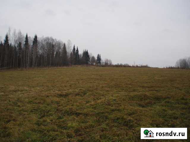 Участок СНТ, ДНП 4910 сот. на продажу в Березовском Кемеровской области Березовский - изображение 1