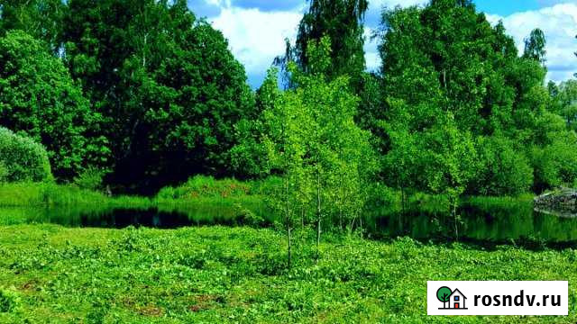 Участок ИЖС 12 сот. на продажу в Новопетровском Новопетровское - изображение 1